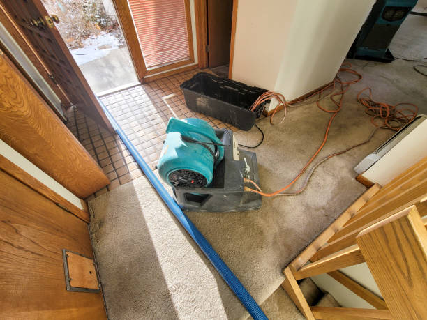 Best Fire Damage Restoration  in Sun Valley, PA