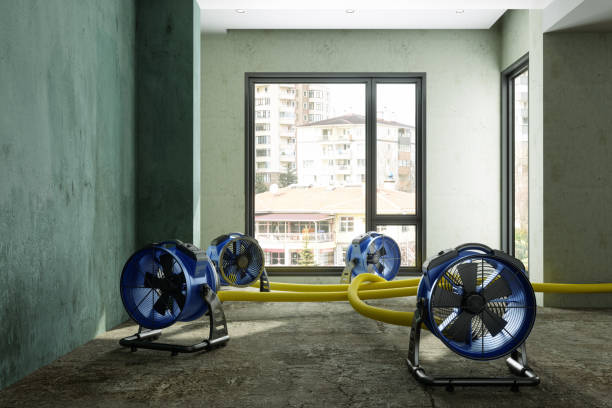 Best Sewage cleanup and water damage restoration  in Sun Valley, PA