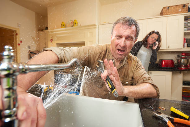 Best Mold removal after water damage  in Sun Valley, PA